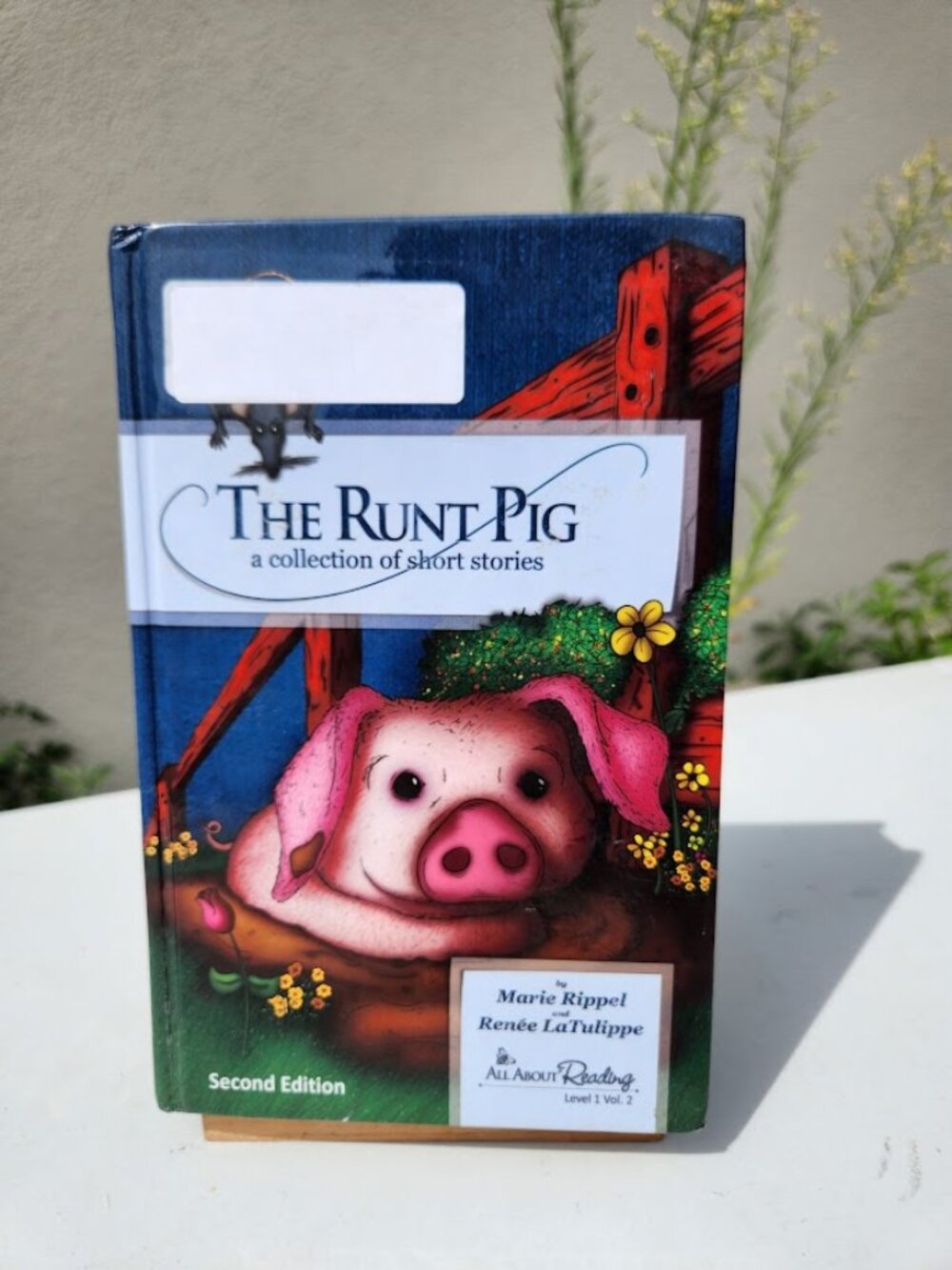 The Runt Pig Short Stories All About Reading Level 1 Vol. 2 Hardcover Book Dysle